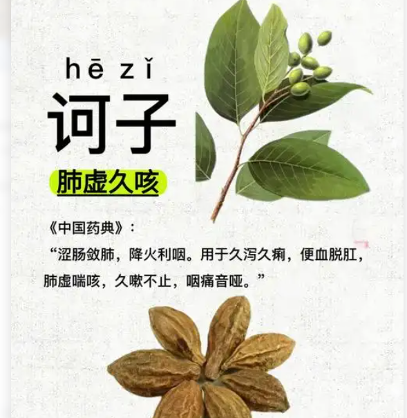 <b>天津港柯子进口报关代理清关</b>